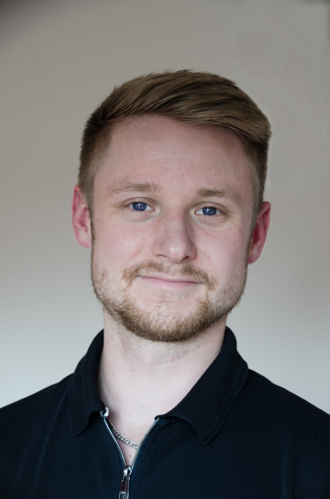 Falko Marcel Schäfer, Webdesigner